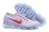 Nike Air max Sneaker
