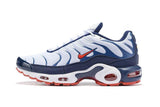 Nike Air Max Plus TN