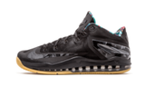 Nike Max Lebron 11 Low BLACK